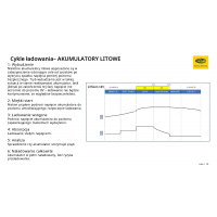 Magneti Marelli - Ładowarka POWER M120A