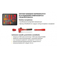 Magneti Marelli - Rozszerzony zestaw do obsługi i naprawy pojazdów hybrydowych i elektrycznych